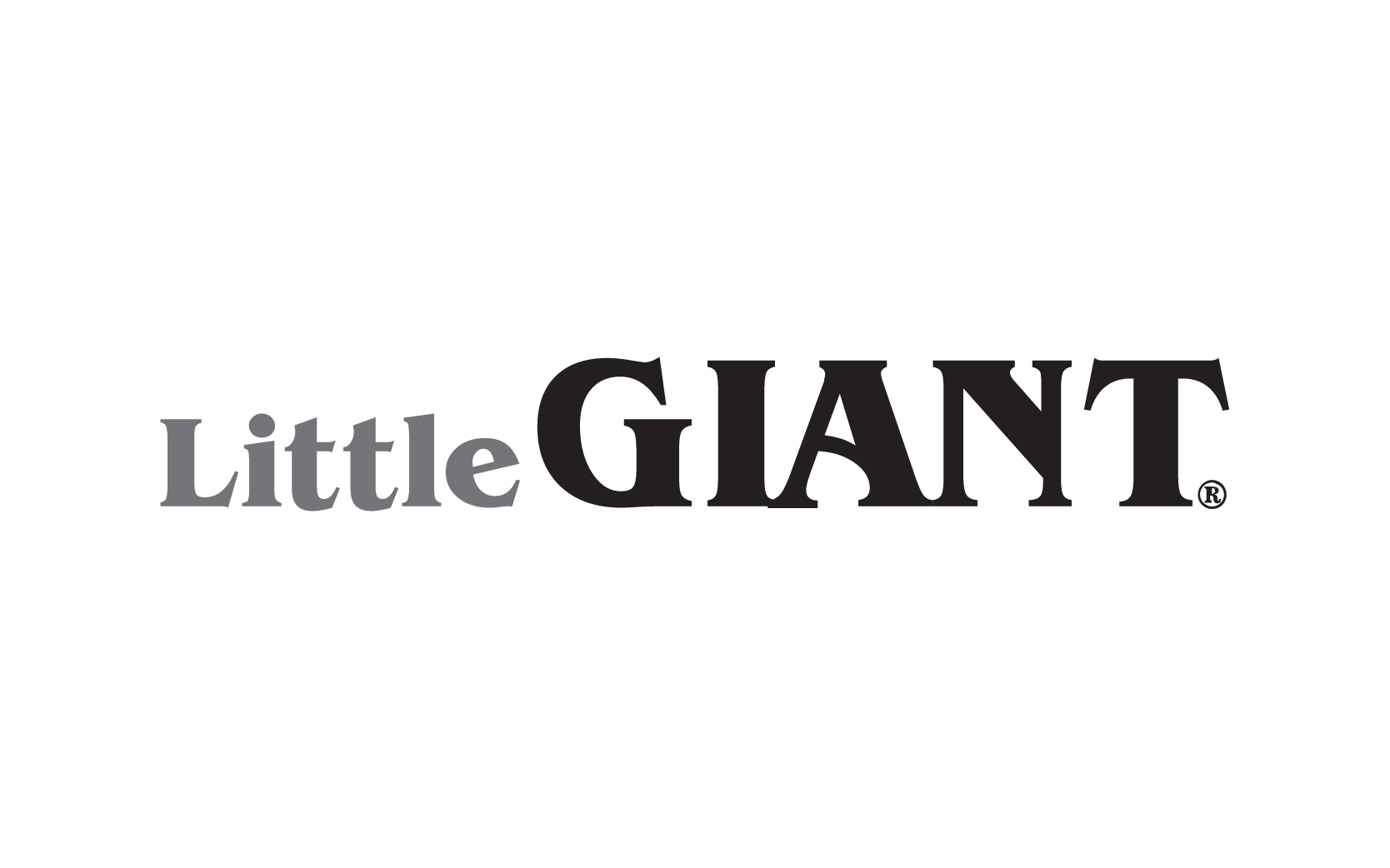 LITTLE GIANT