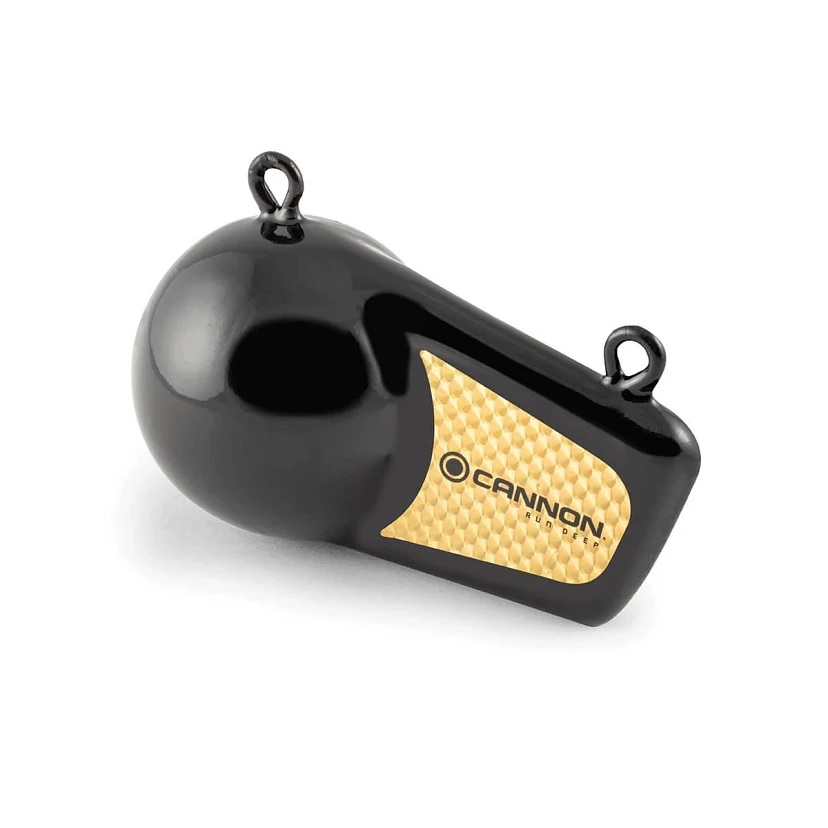 Cannon 2295184 10 Pound Flash Weight