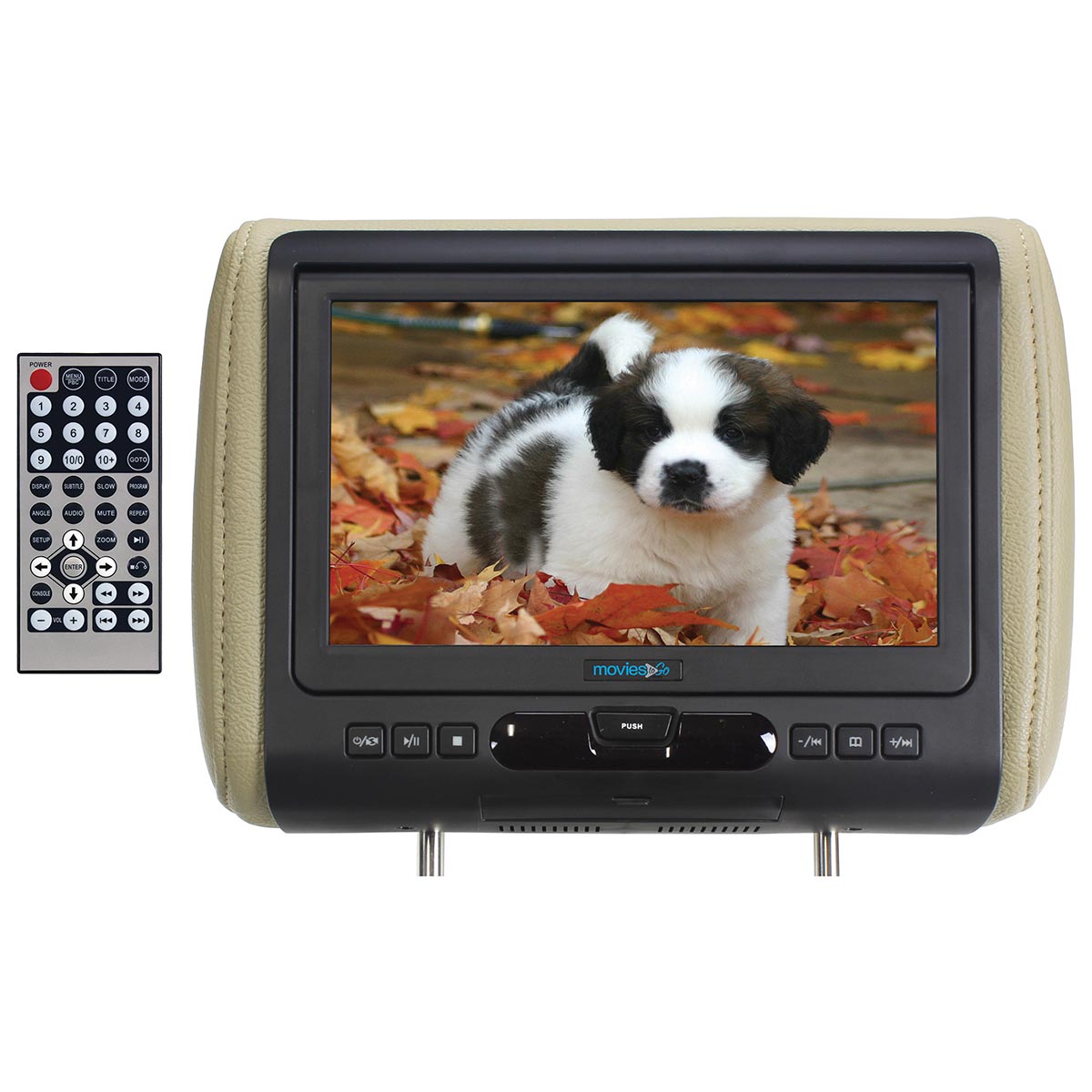 Remote Transmitters & Modules