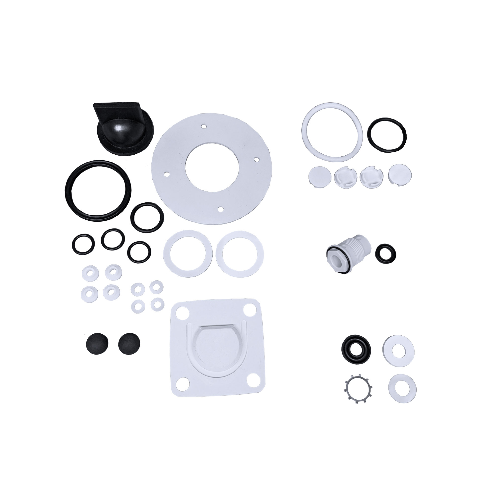 Raritan PHRKIIU Repair Kit for PHII, PH SuperFlush and PH PowerFlush