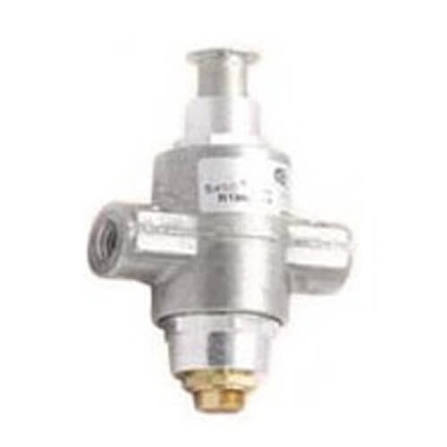 BASO Safety Valve 1/4" H17BB-1C
